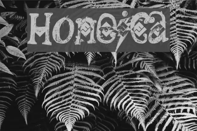 Shoneica Шрифта examples