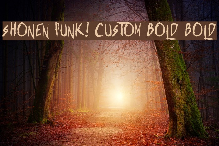 Shonen Punk! Custom Bold Bold Polices examples