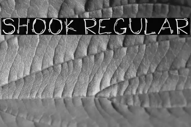 Shook Regular Polices examples