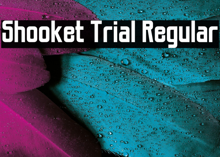 Shooket Trial Regular Caratteri examples