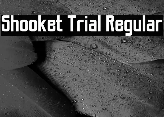 Shooket Trial Regular Font examples
