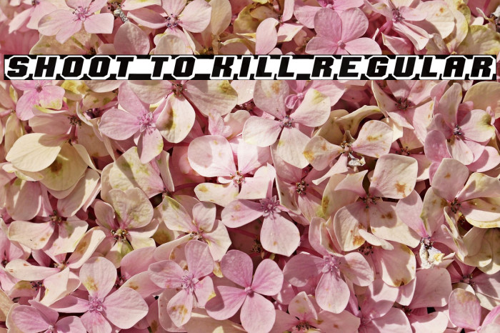 Shoot to Kill Regular フォント examples