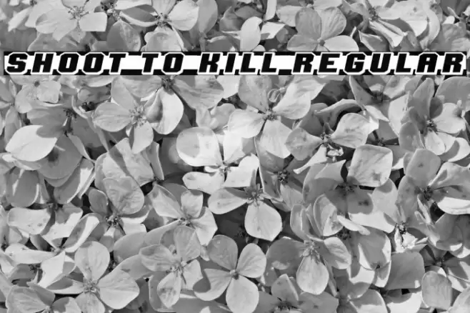 Shoot to Kill Regular フォント examples