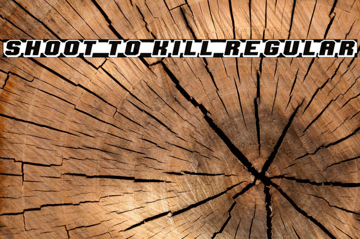 Shoot to Kill Regular フォント examples