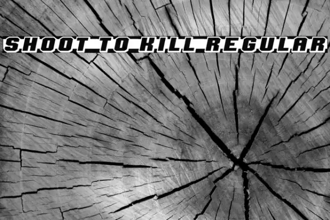 Shoot to Kill Regular フォント examples