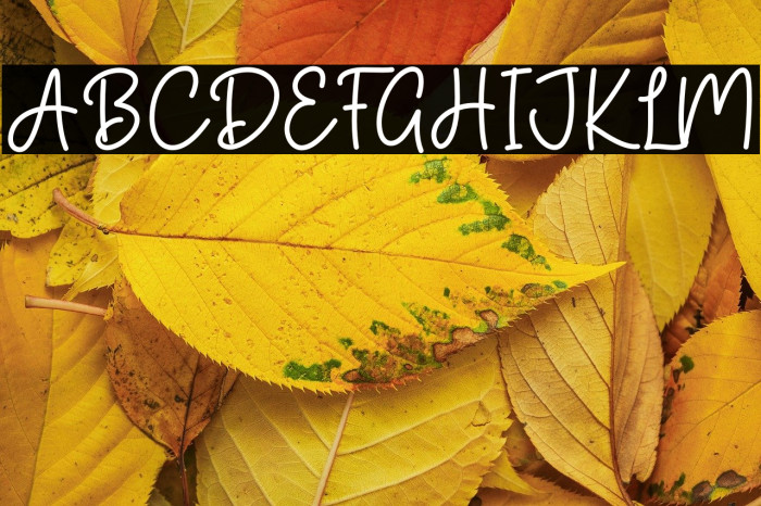 Shooting Star Example 2