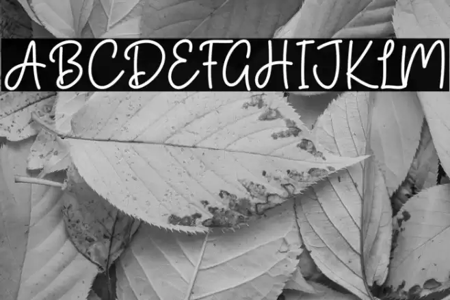 Shooting Star 字体 examples