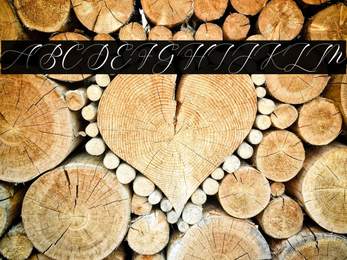 ShophiaScript Example 2