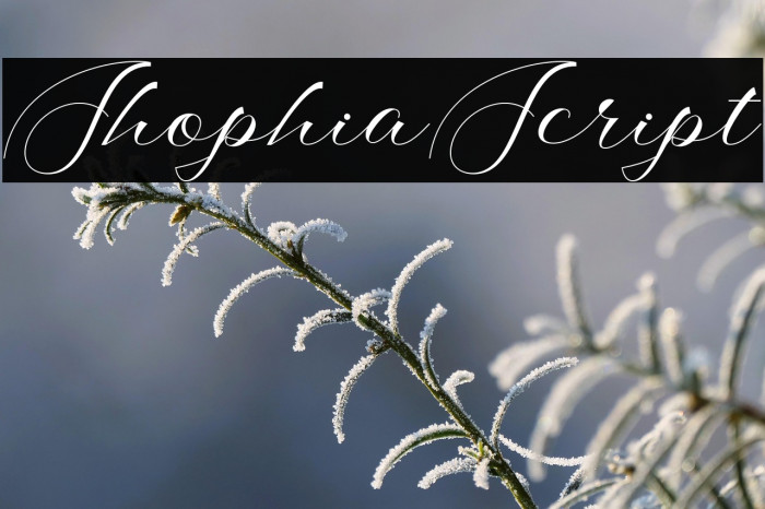 ShophiaScript Example 1