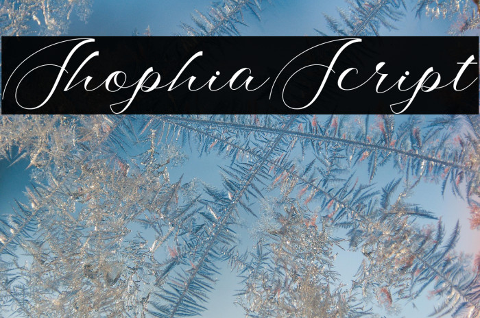 ShophiaScript Example 2