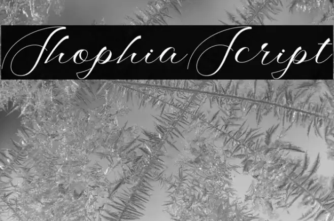 ShophiaScript Font examples