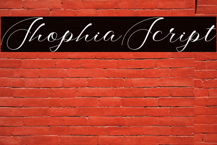 ShophiaScript Example 3