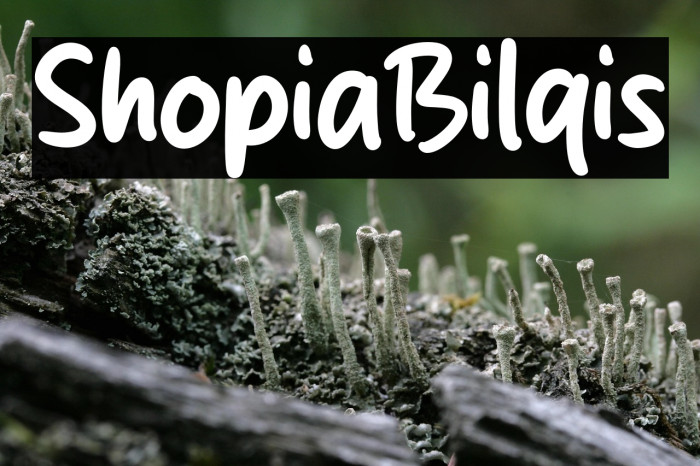 Shopia Bilqis Example 1