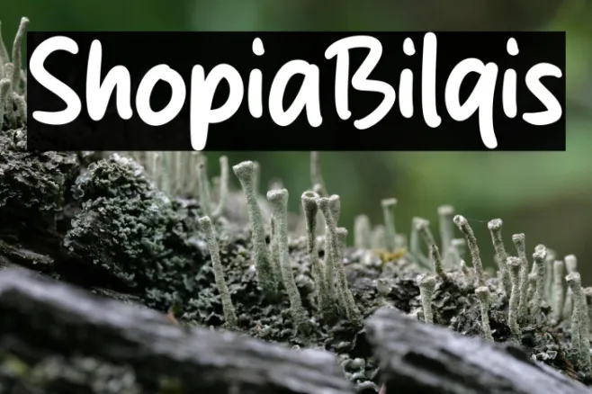 Shopia Bilqis Example 1
