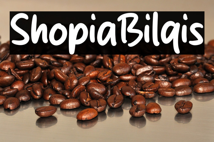 Shopia Bilqis Example 2