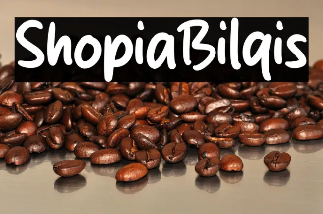 Shopia Bilqis Example 2