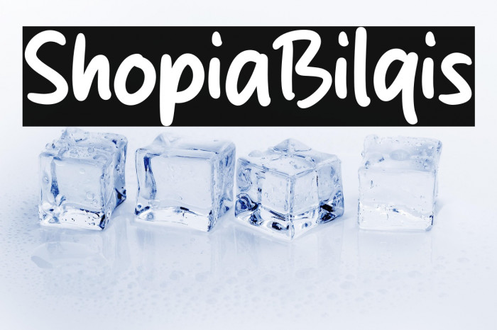 Shopia Bilqis Example 3