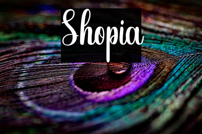Shopia Example 2