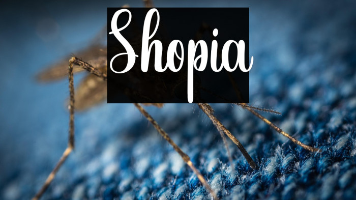 Shopia Example 3