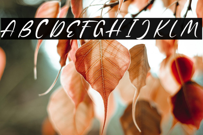 ShopieMinclairDEMO Example 1