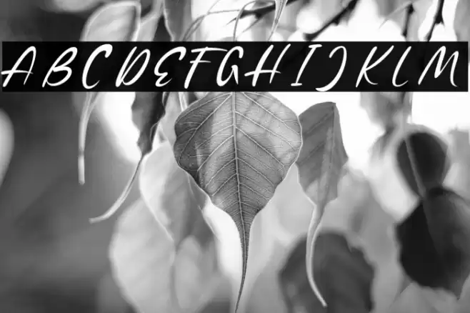 ShopieMinclairDEMO Font examples