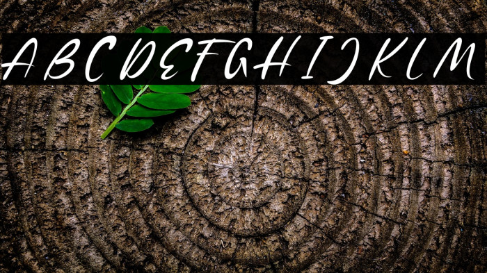 ShopieMinclairDEMO Example 3