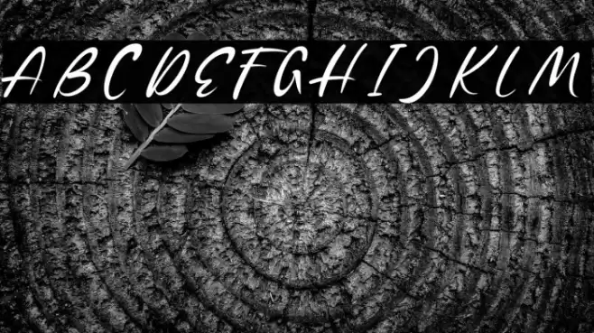 ShopieMinclairDEMO Font examples