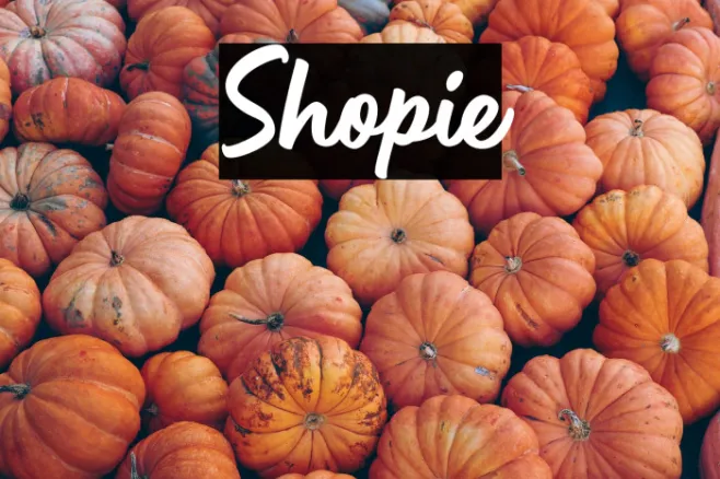 Shopie Example 1