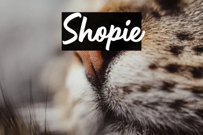 Shopie Example 2