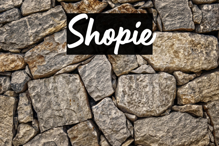 Shopie Example 3