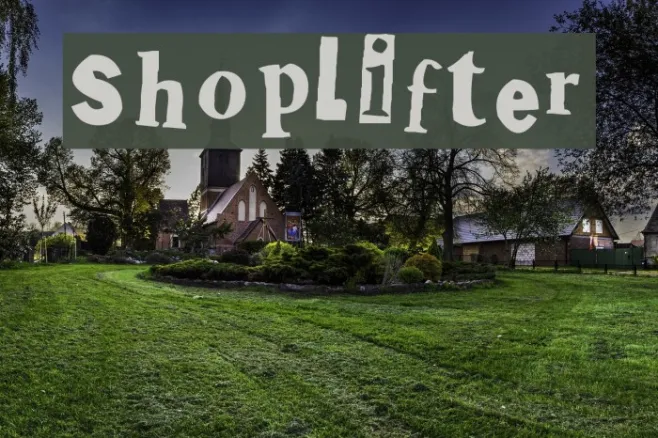 Shoplifter Example 3