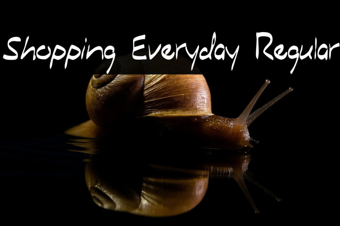 Shopping Everyday Regular Example 2