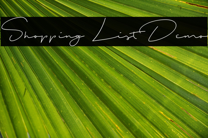 Shopping List Demo Font examples