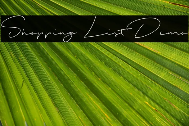 Shopping List Demo Example 1