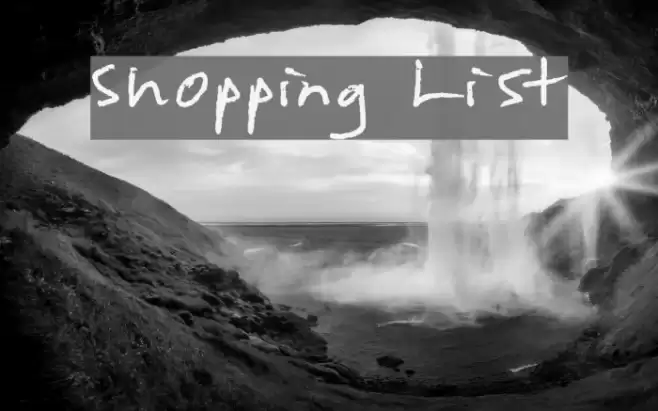 Shopping List Polices examples