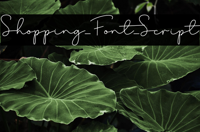 Shopping_Font_Script Example 1