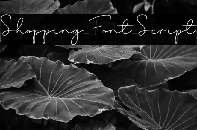 Shopping_Font_Script Font examples