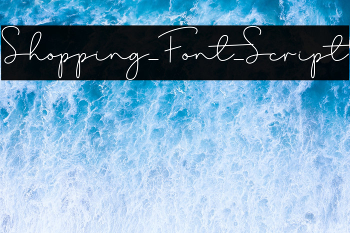Shopping_Font_Script Example 2