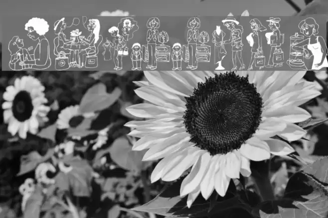 Shopping Font examples