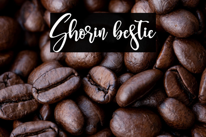 Shorin bestie Example 1