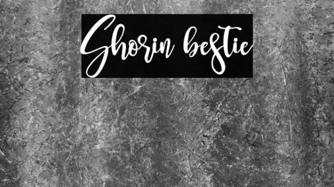 Shorin bestie Font examples