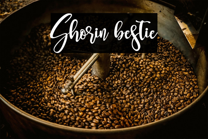 Shorin bestie Example 3