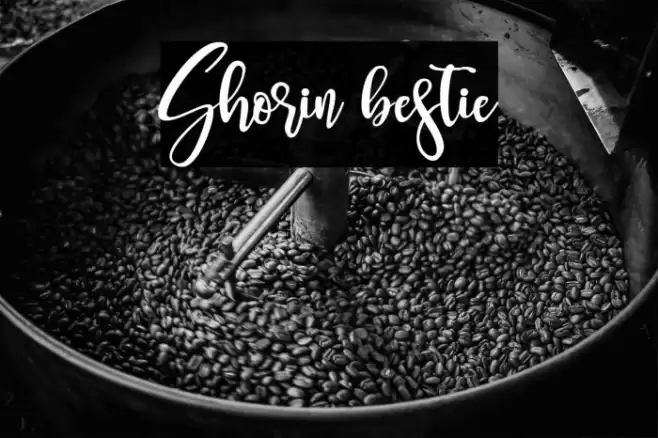 Shorin bestie Font examples