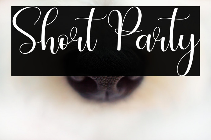 Short Party Example 1