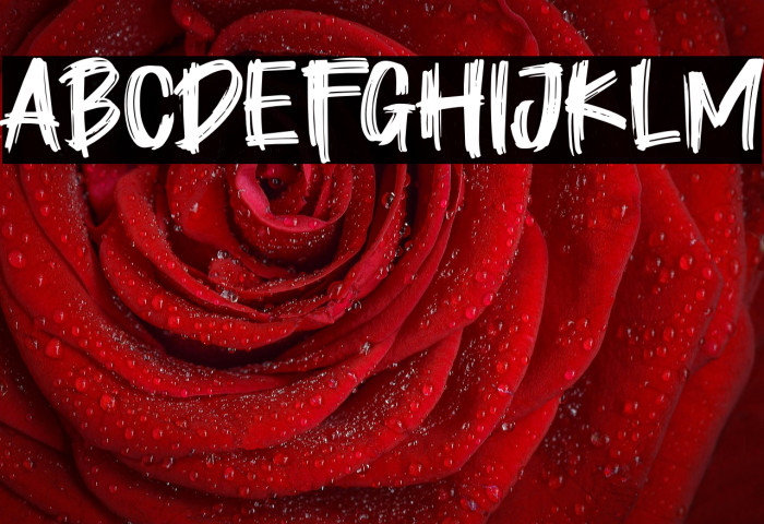 Short Plan Example 1