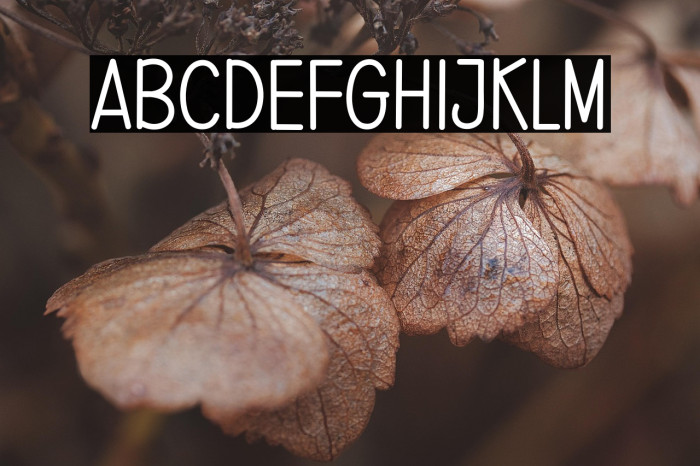 Short Story Example 1