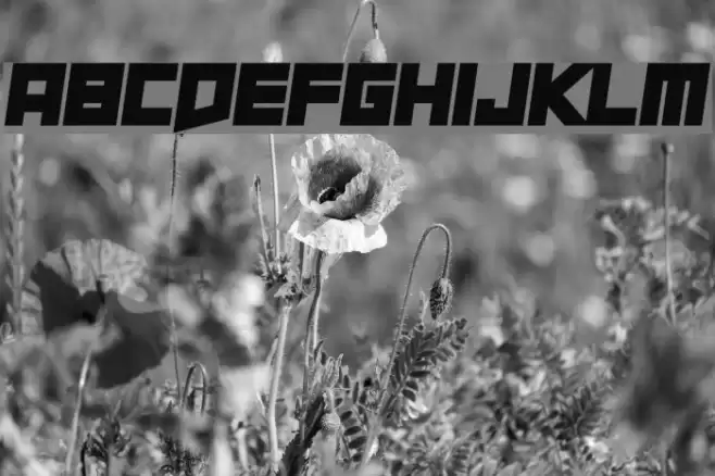 Short Xurkit Tilt Font examples