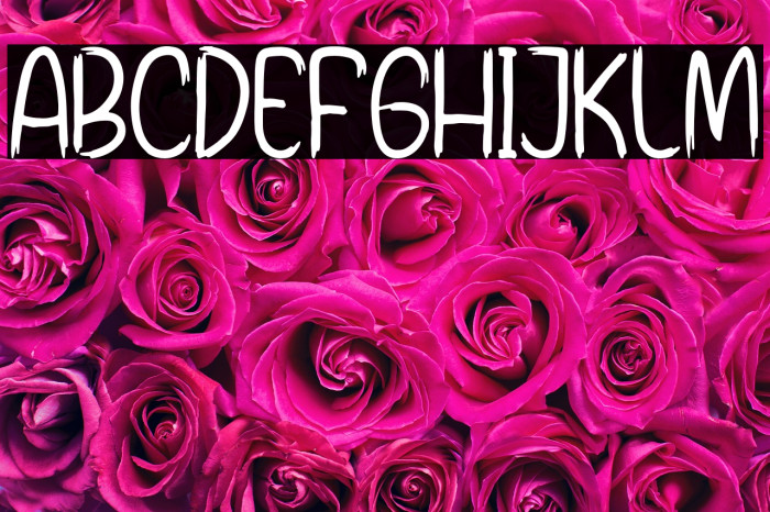 Short Zippers Example 1