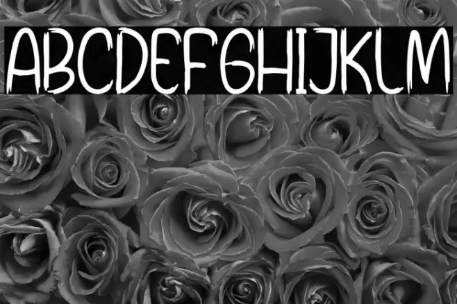 Short Zippers Font examples