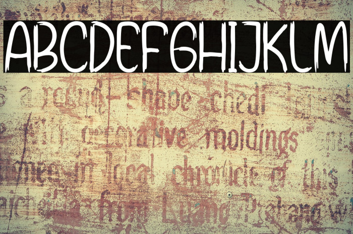 Short Zippers Example 2